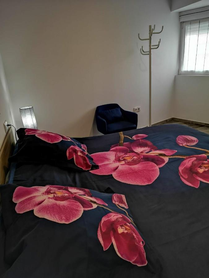 Apartamento Ibanez بينايدورم المظهر الخارجي الصورة